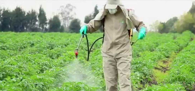 Безопасное обращение с гербицидами и пестицидами