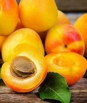 Персик абрикос урюк