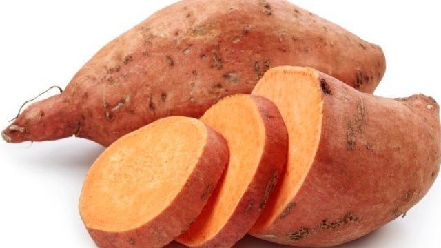 Экзотический сладкий картофель – батат. Особенности выращивания на Урале и в Сибири и полезные советы