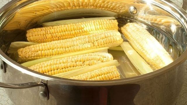 Как варить кукурузу в початках в кастрюле: фото и выбор продукта с пошаговыми рецептами, а также сколько надо времени, чтобы готовить блюдо вкусно и правильно? Selo