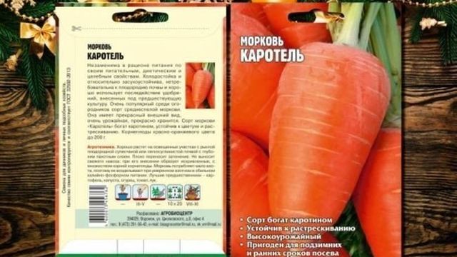 Морковь Каротель: описание сорта и отзывы об урожайности, тип парижской морковки, в чем отличие от обычной, фото, характеристика и семена, посадка и уход