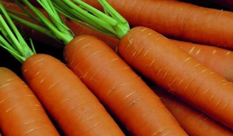 Морковь крупным планом