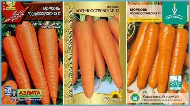 Морковь лосиноостровская аэлита