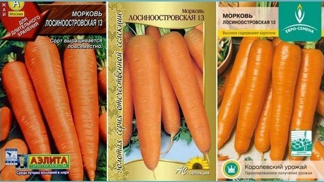Морковь лосиноостровская 13: отзывы, выращивание, описание и характеристика