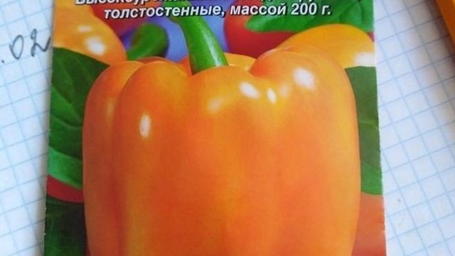 Перец Биг мама: характеристика и описание сладкого болгарского сорта, отзывы о выращивании и урожайности, фото семян Аэлита, посадка и уход