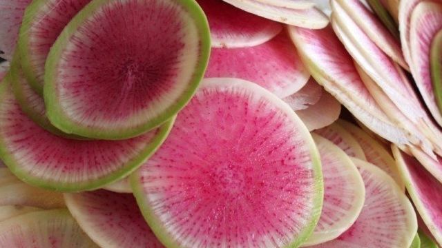 Необычный сорт редиса – Арбузный. Что это за овощ, как его выращивают и используют в кулинарии?