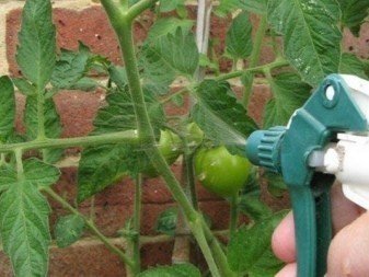 Средство для завязи томатов в теплице
