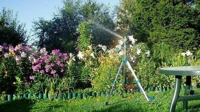 Как выбрать насос для полива огорода