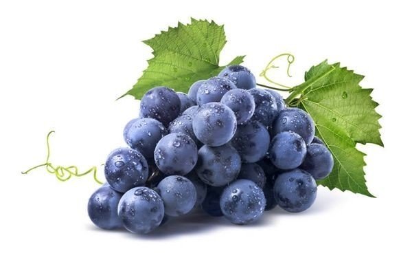 Синий виноград на белом фоне