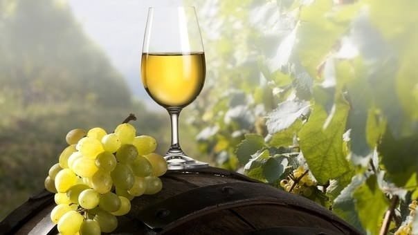 Вино виноградники
