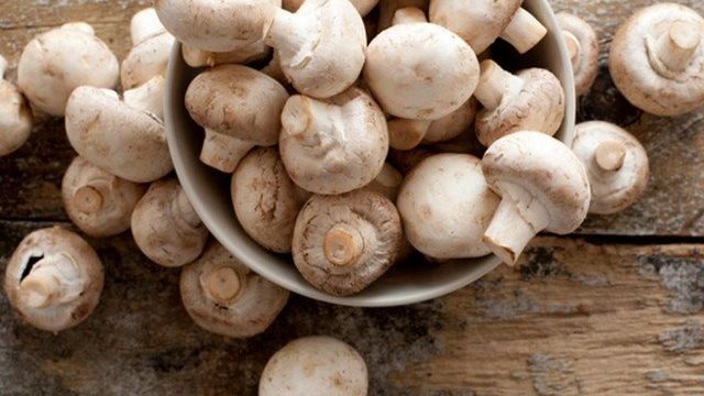 Как хранить СВЕЖИЕ ШАМПИНЬОНЫ: сколько хранятся в холодильнике или морозилке после покупки в домашних условиях и как сохранить грибы, чтобы они не портились