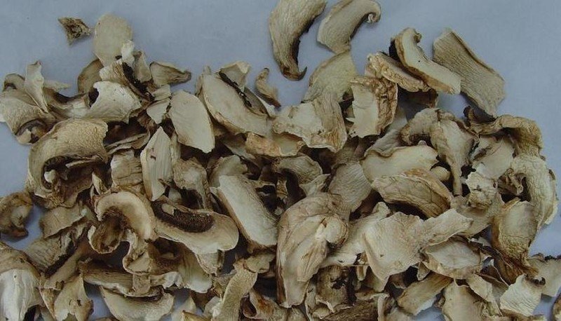 Белый налет на сушеных грибах